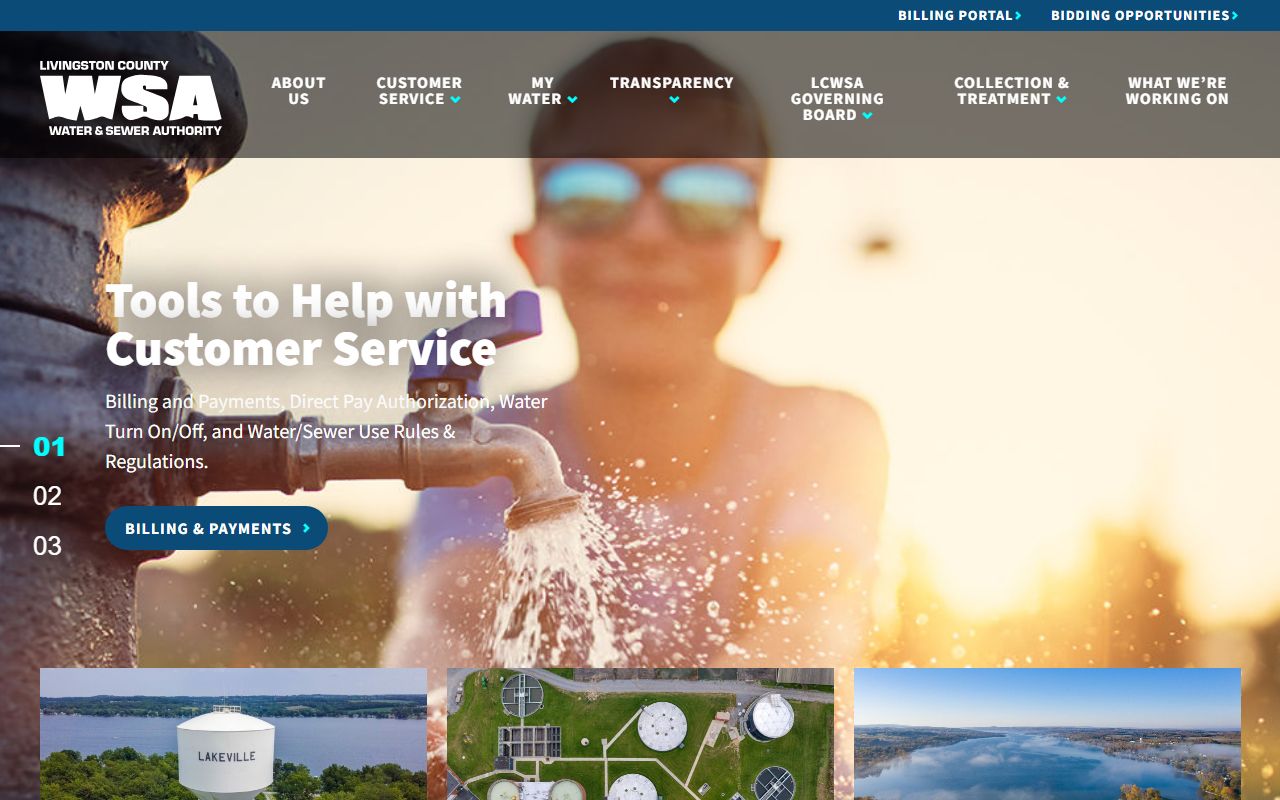 Livingston County Sheriff's Office page for busted mugshots info