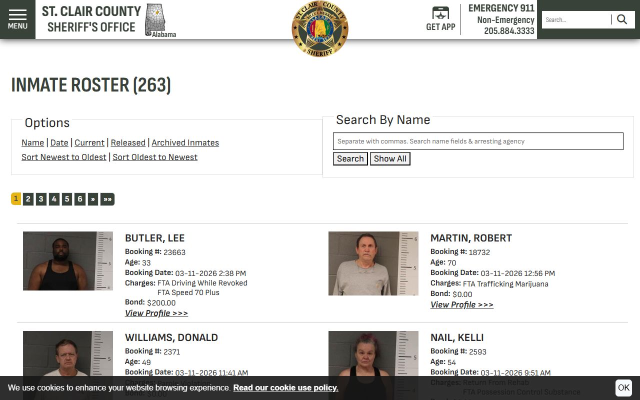 St. Clair County inmate roster showing busted mugshots and booking data